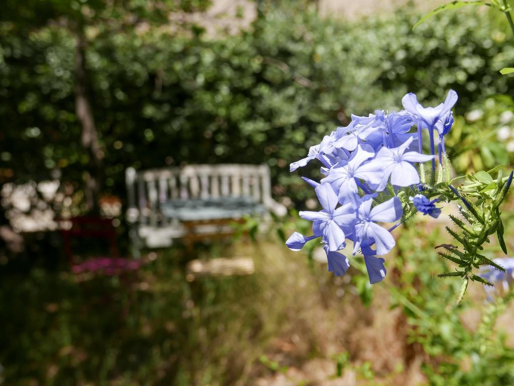 Vieux Port Panier Jardin Hotel Марсилия Екстериор снимка