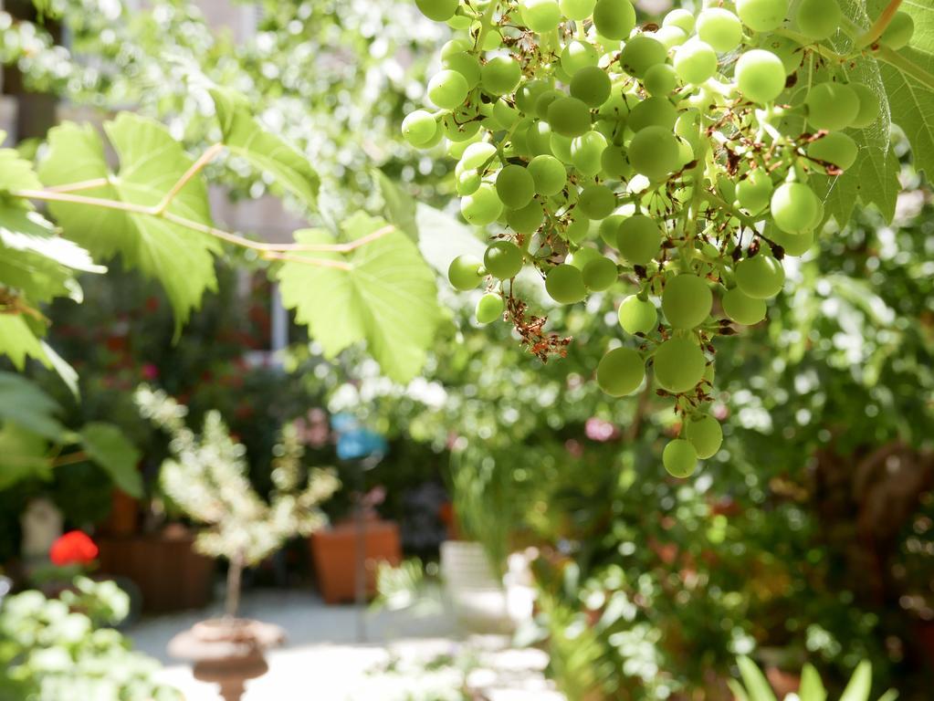 Vieux Port Panier Jardin Hotel Марсилия Екстериор снимка